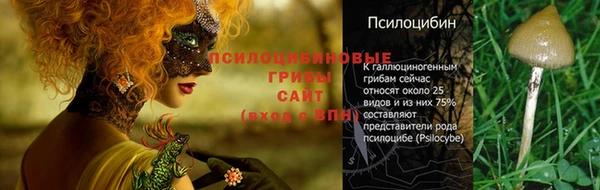 кокаин VHQ Нефтегорск