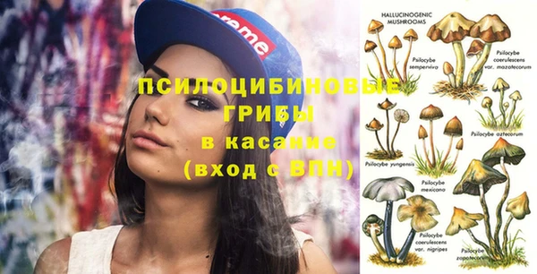 альфа пвп Нефтекумск