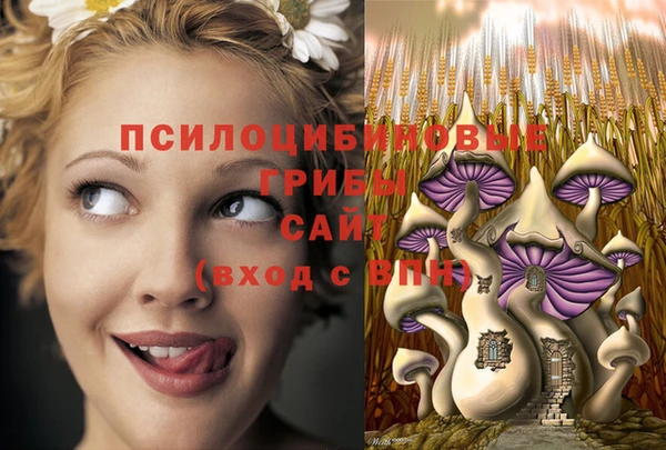 метадон Нея