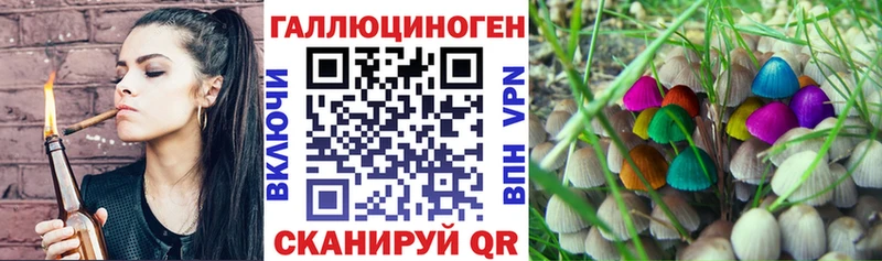 Галлюциногенные грибы MAGIC MUSHROOMS где купить Менделеевск