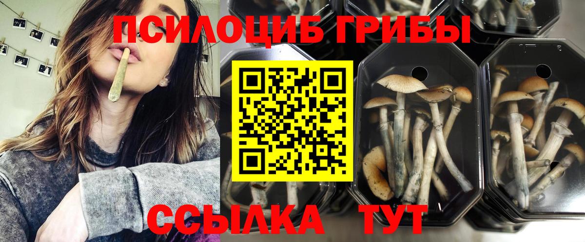 Менделеевск  Галлюциногенные грибы Magic Shrooms  Вход с VPN 