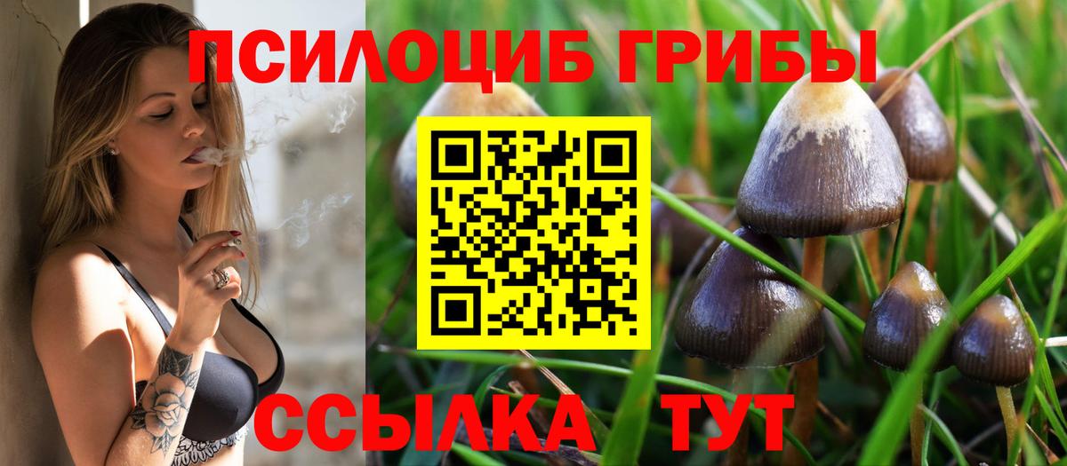 Галлюциногенные грибы GOLDEN TEACHER Менделеевск