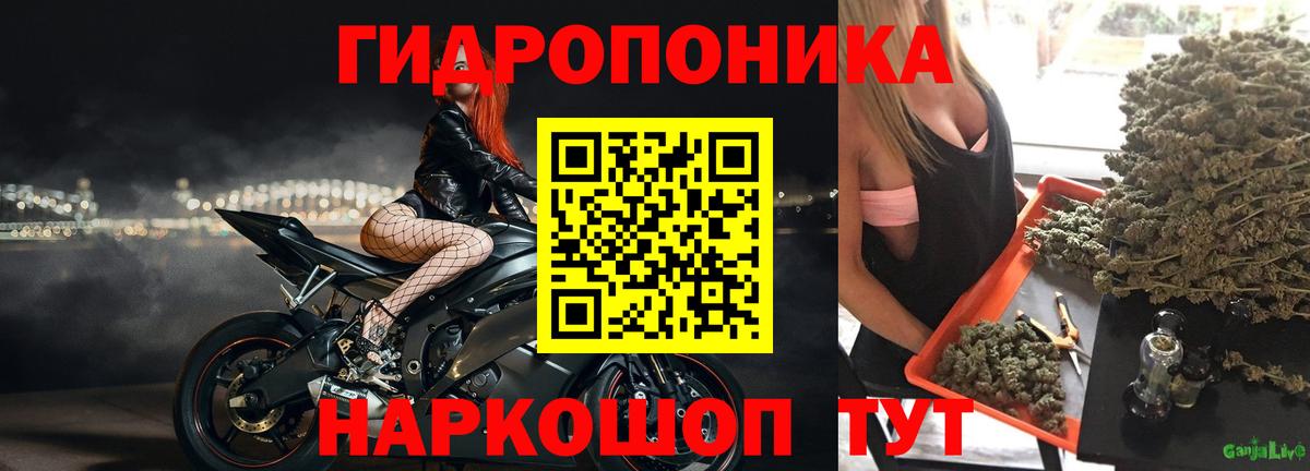 Каннабис семена Менделеевск